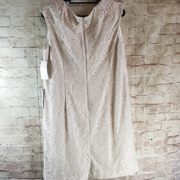 Lace Sheath Evening Gown - Picture 5 of 5